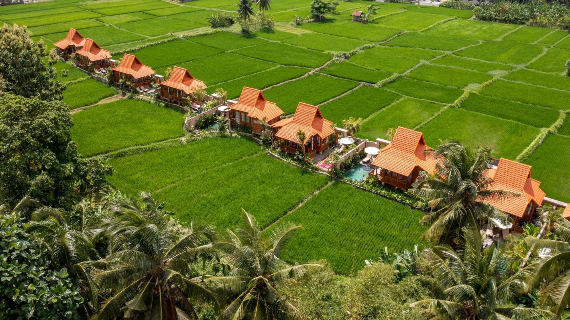 The Kalyana Ubud Resort 외부 사진